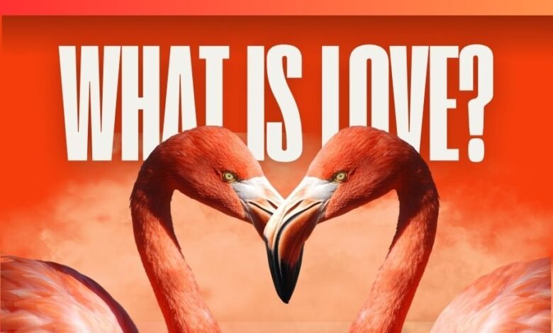 what is love